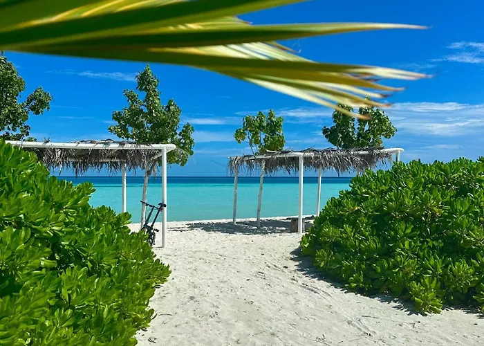 Samura Maldives Guest House Thulusdhoo