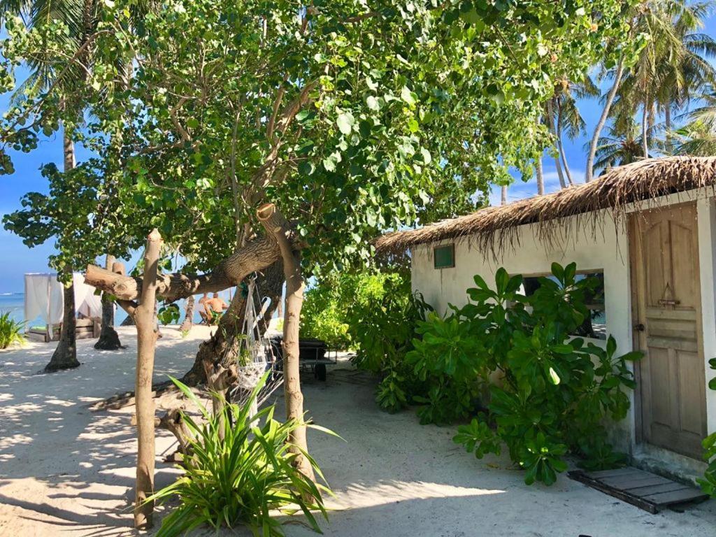 Samura Maldives Pensjonat