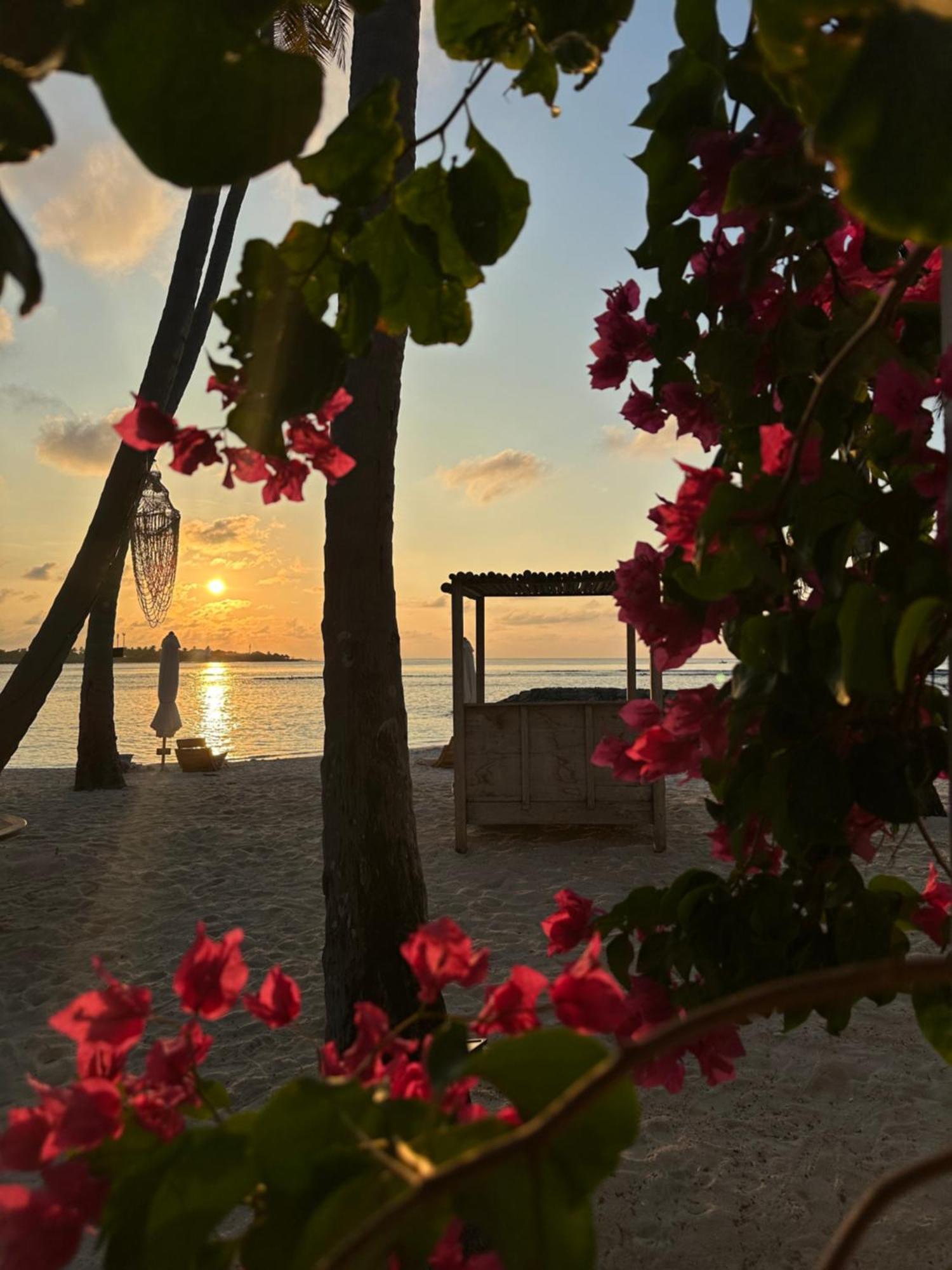 Samura Maldives Pensjonat