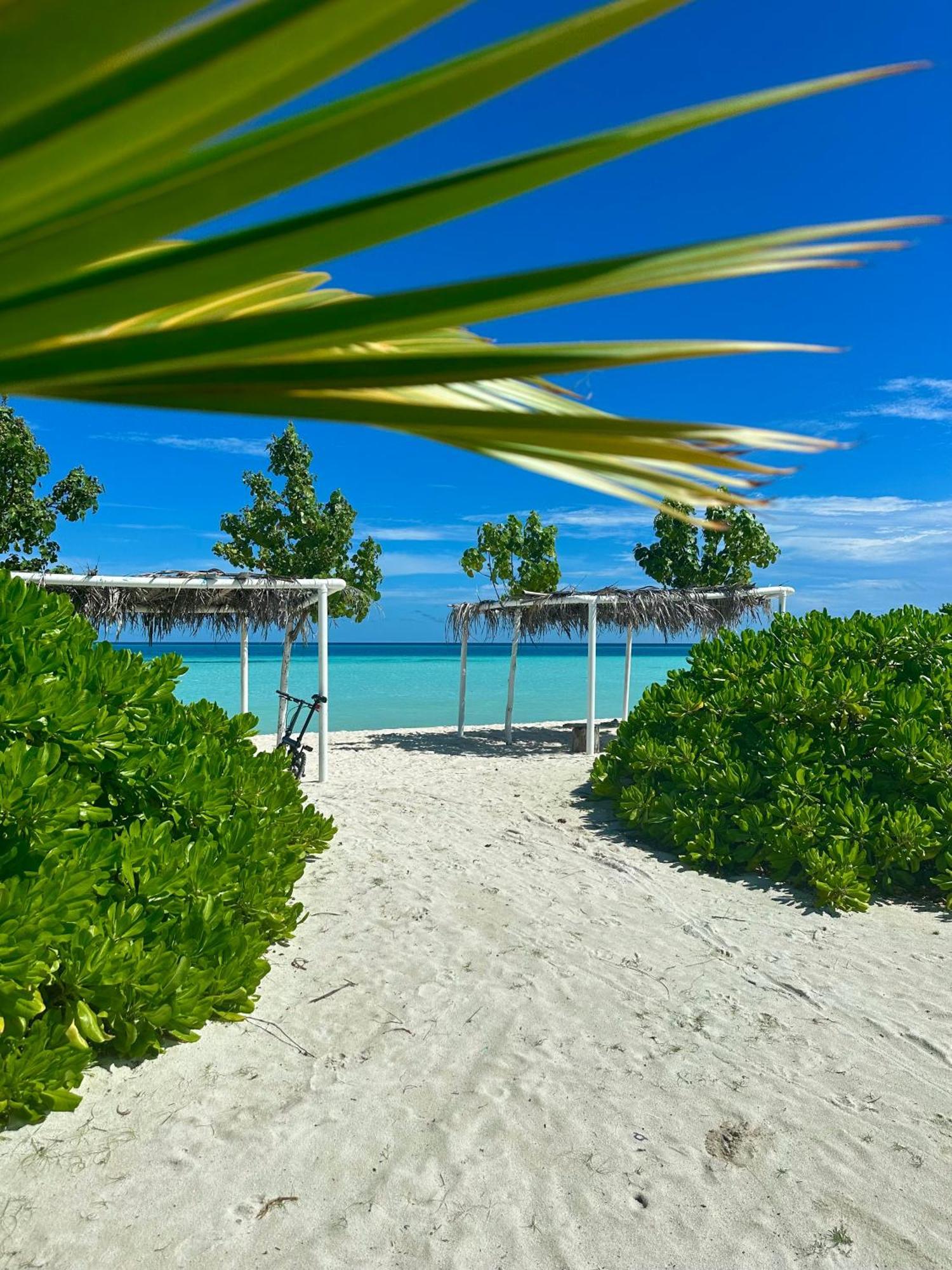 Samura Maldives Pensjonat Thulusdhoo