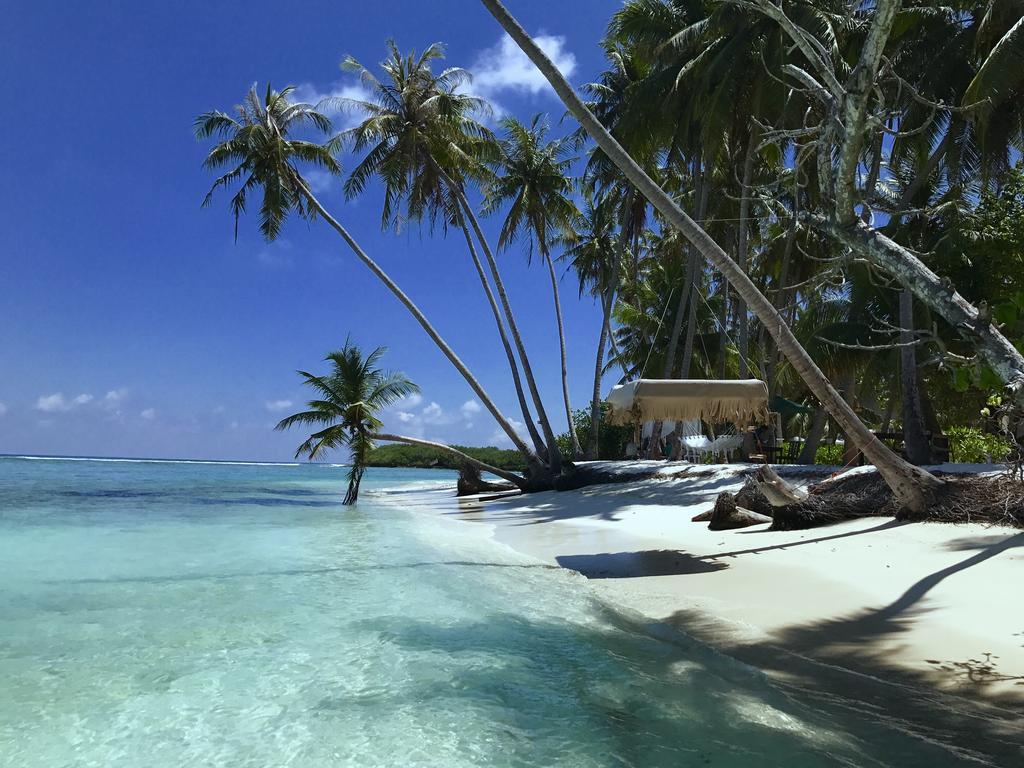 Samura Maldives Pensjonat *